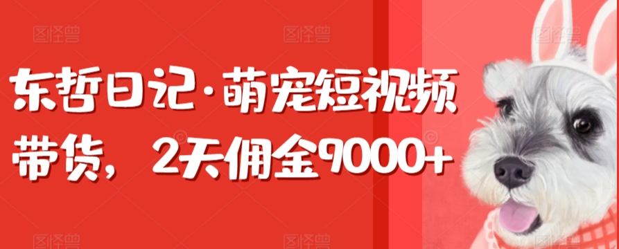 东哲日记·萌宠短视频带货，2天佣金9000+-英祺创业
