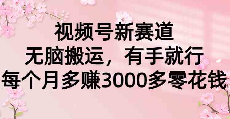 （9277期）视频号新赛道，无脑搬运，有手就行，每个月多赚3000多零花钱-英祺创业