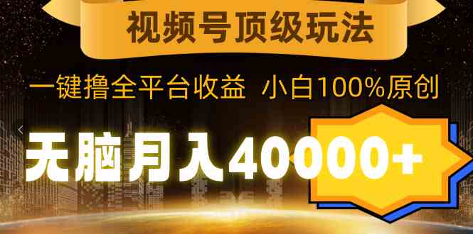（9281期）视频号顶级玩法，无脑月入40000+，一键撸全平台收益，纯小白也能100%原创-英祺创业