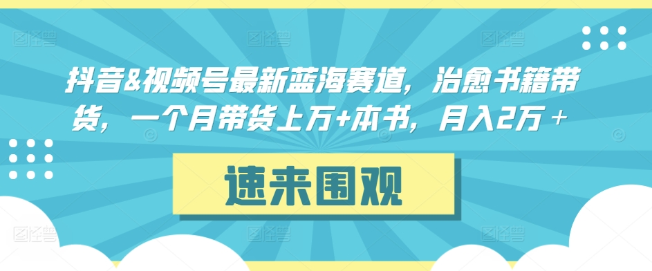 抖音&视频号最新蓝海赛道，治愈书籍带货，一个月带货上万+本书，月入2万＋-英祺创业