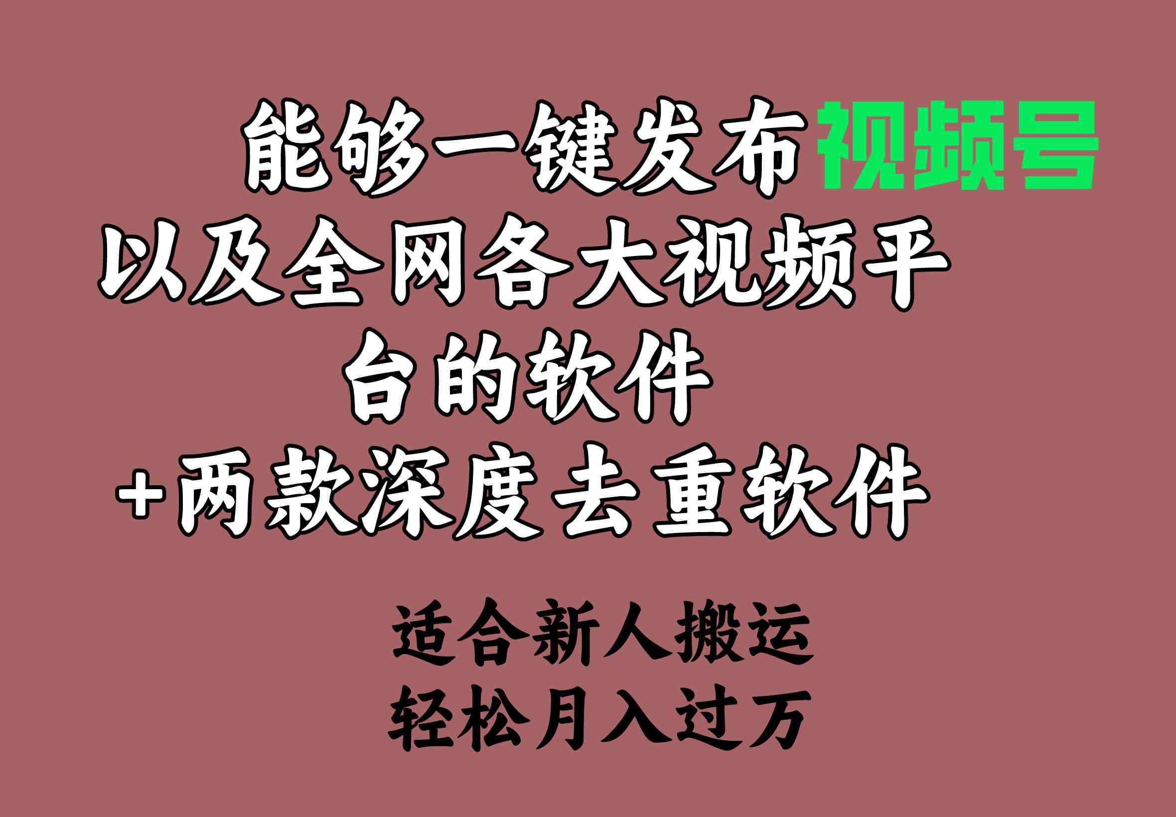 （9319期）能够一键发布视频号以及全网各大视频平台的软件+两款深度去重软件 适合…-英祺创业