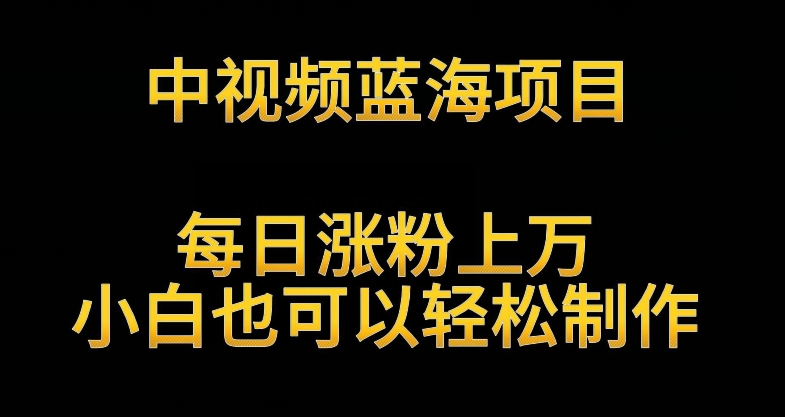 中视频蓝海项目，解读英雄人物生平，每日涨粉上万，小白也可以轻松制作，月入过万不是梦-英祺创业