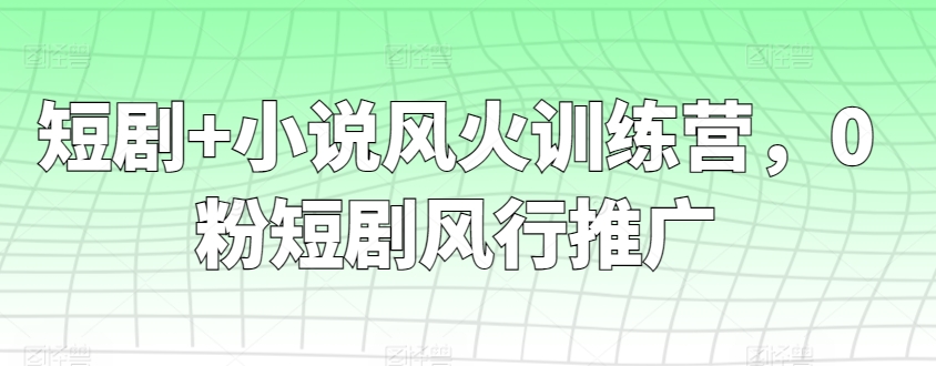 短剧+小说风火训练营，0粉短剧风行推广-英祺创业