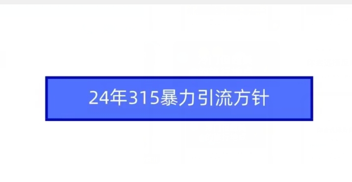 24年315暴力引流方针-英祺创业