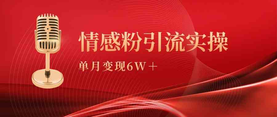 （9473期）单月变现6w+，情感粉引流变现实操课-英祺创业