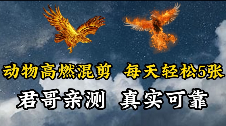 动物超燃混剪，每天轻松5张，剪辑简单大家爱看-英祺创业