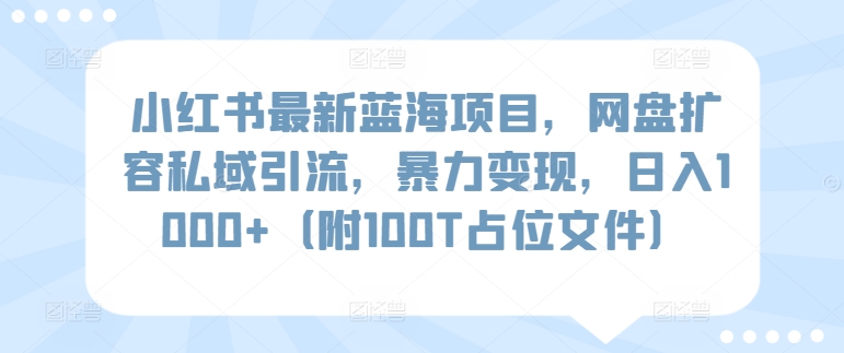 小红书最新蓝海项目，网盘扩容私域引流，暴力变现，日入1000+（附100T占位文件）-英祺创业