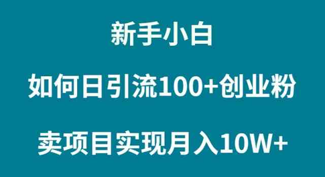 （9556期）新手小白如何通过卖项目实现月入10W+-英祺创业