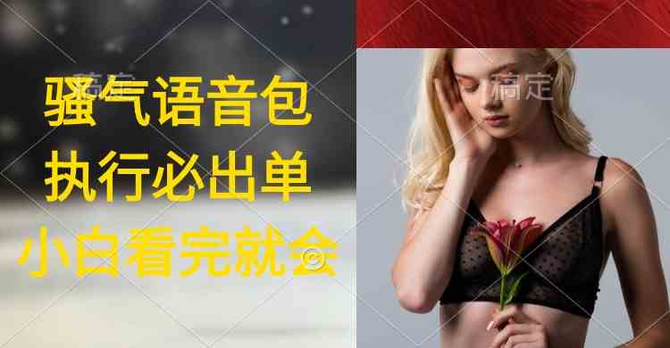 （9589期）执行就出单，日入2000+，超火骚气语音包，小白看完课程就能马上实操-英祺创业