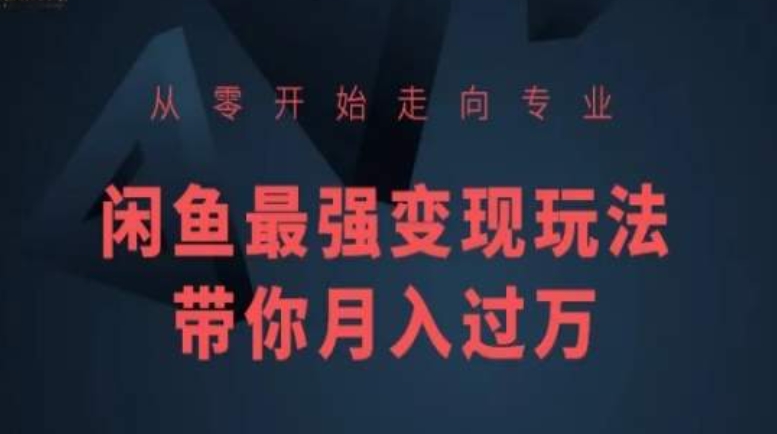 从零开始走向专业，闲鱼最强变现玩法带你月入过万-英祺创业