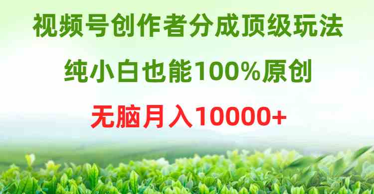 （9608期）视频号创作者分成顶级玩法，纯小白也能100%原创，无脑月入10000+-英祺创业