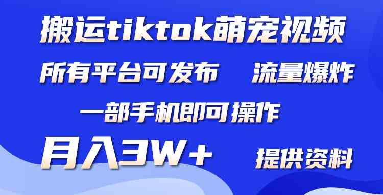 （9618期）搬运Tiktok萌宠类视频，一部手机即可。所有短视频平台均可操作，月入3W+-英祺创业