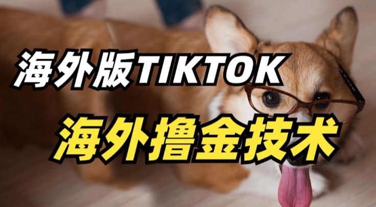 抖音海外版tiktok撸金技术，这个风口行业，赚钱真的不难-英祺创业