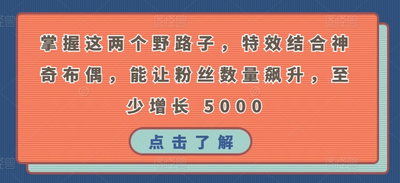 掌握这两个野路子，特效结合神奇布偶，能让粉丝数量飙升，至少增长 5000-英祺创业