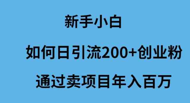 （9668期）新手小白如何日引流200+创业粉通过卖项目年入百万-英祺创业