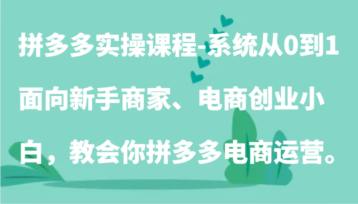 拼多多实操课程-系统从0到1，面向新手商家、电商创业小白，教会你拼多多电商运营。-英祺创业
