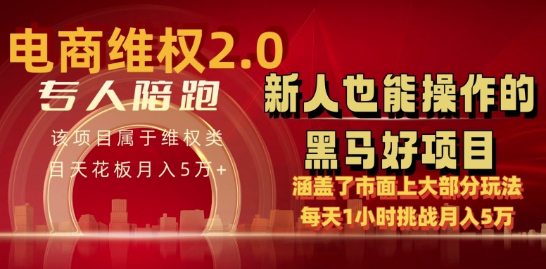 电商维权 4.0 如何做到月入 5 万+每天 1 小时新人也能快速上手【仅揭秘】-英祺创业