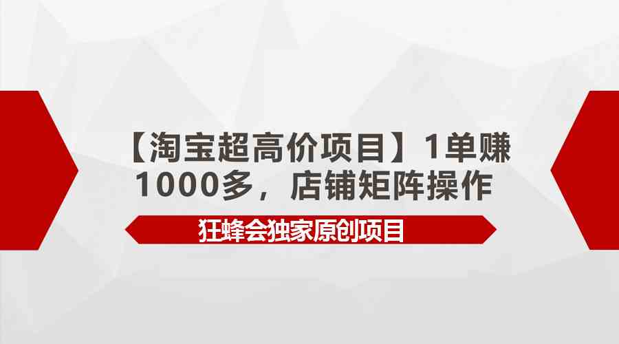 （9849期）【淘宝超高价项目】1单赚1000多，店铺矩阵操作-英祺创业