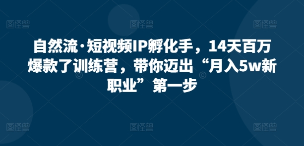 自然流·短视频IP孵化手，14天百万爆款了训练营，带你迈出“月入5w新职业”第一步-英祺创业
