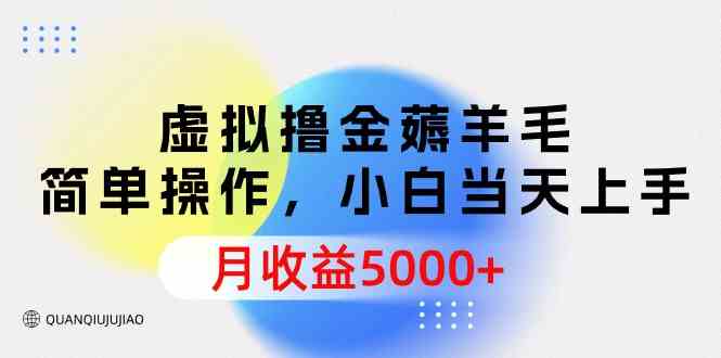 （9864期）虚拟撸金薅羊毛，简单操作，小白当天上手，月收益5000+-英祺创业