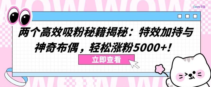 两个高效吸粉秘籍揭秘：特效加持与神奇布偶，轻松涨粉5000+-英祺创业