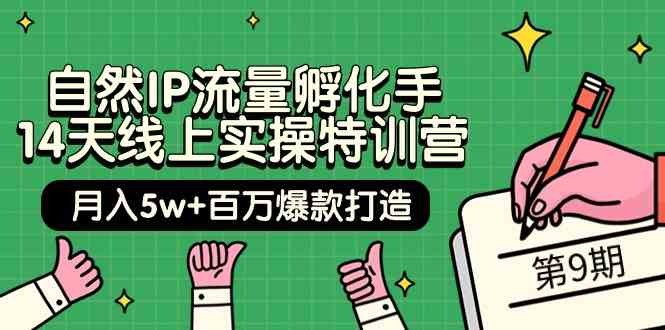 自然IP流量孵化手14天线上实操特训营【第9期】月入5w+百万爆款打造 (74节)-英祺创业