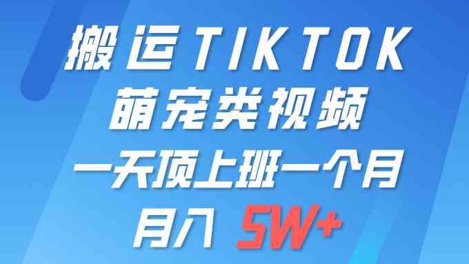 （9931期）一键搬运TIKTOK萌宠类视频 一部手机即可操作 所有平台均可发布 轻松月入5W+-英祺创业