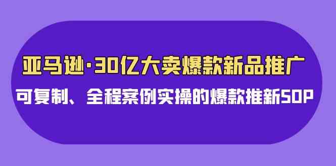 （9944期）亚马逊30亿·大卖爆款新品推广，可复制、全程案例实操的爆款推新SOP-英祺创业