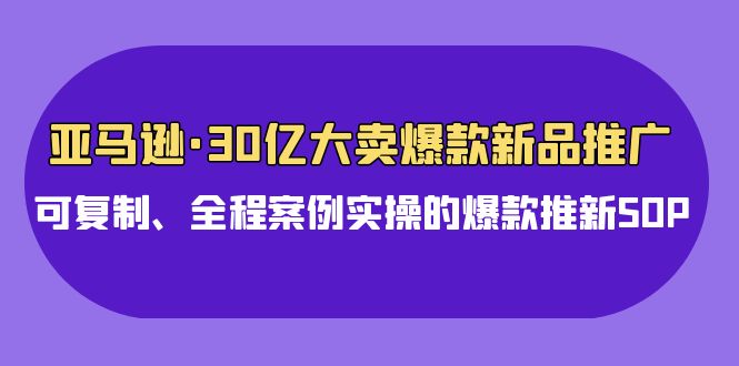 亚马逊30亿大卖爆款新品推广，可复制、全程案例实操的爆款推新SOP-英祺创业