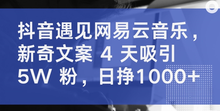 抖音遇见网易云音乐，新奇文案 4 天吸引 5W 粉，日挣1000+-英祺创业