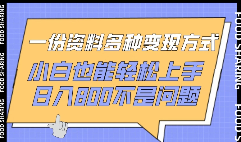 一份资料多种变现方式，小白也能轻松上手，日入800不是问题-英祺创业