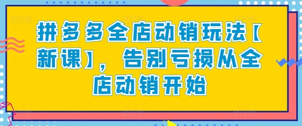 拼多多全店动销玩法【新课】，告别亏损从全店动销开始-英祺创业