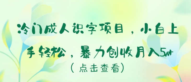 冷门成人识字项目，小白上手轻松，暴力创收月入5w+-英祺创业