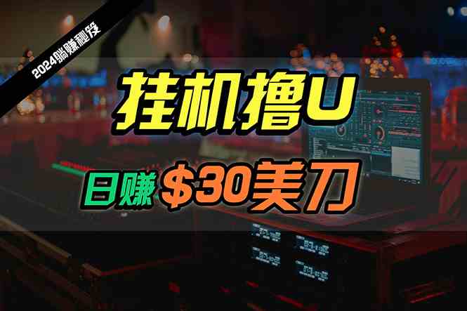 （10013期）日赚30美刀，2024最新海外挂机撸U内部项目，全程无人值守，可批量放大-英祺创业