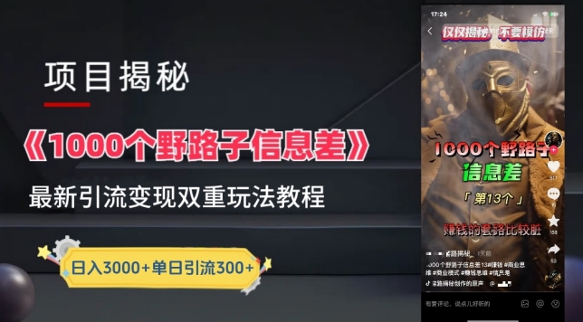 一千个野路子信息差最新玩法教程-变现+引流的玩法具体拆解-英祺创业