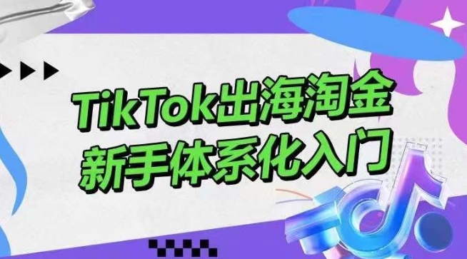 TikTok出海淘金，新手体系化入门，零基础快速入门，掌握短视频、直播带货等引流到变现的知识-英祺创业