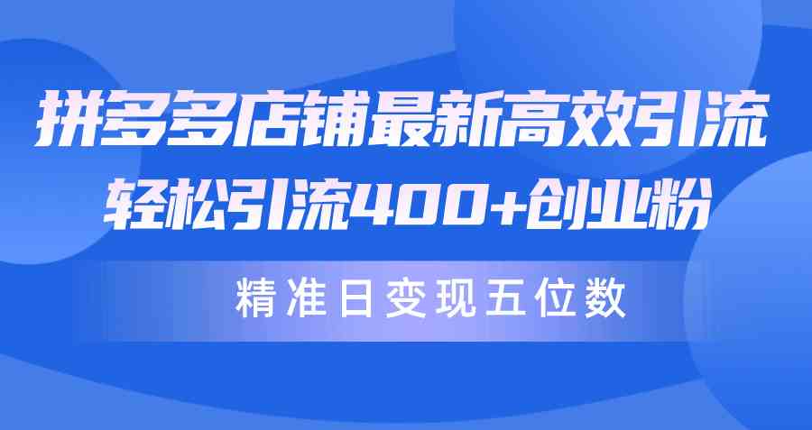 （10041期）拼多多店铺最新高效引流术，轻松引流400+创业粉，精准日变现五位数！-英祺创业
