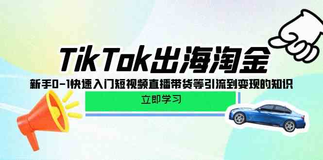 TikTok出海淘金，新手0-1快速入门短视频直播带货等引流到变现的知识-英祺创业