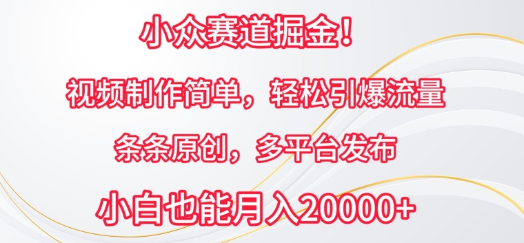 小众赛道掘金，视频制作简单，轻松引爆流量，条条原创，多平台发布-英祺创业