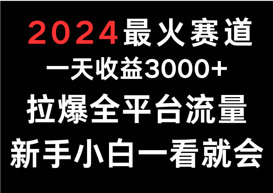 2024最火赛道，一天收一3000+.拉爆全平台流量，新手小白一看就会-英祺创业