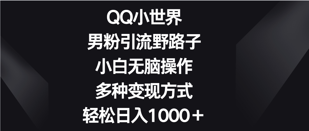 QQ小世界男粉引流野路子，小白无脑操作，多种变现方式轻松日入1000＋-英祺创业