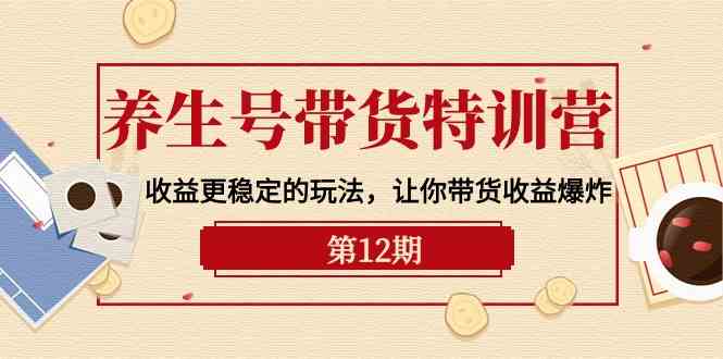 养生号带货特训营【12期】收益更稳定的玩法，让你带货收益爆炸（9节直播课）-英祺创业