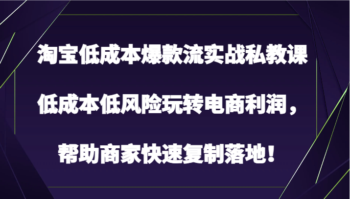 淘宝低成本爆款流实战私教课，低成本低风险玩转电商利润，帮助商家快速复制落地！-英祺创业