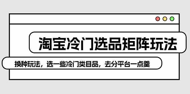 （10159期）淘宝冷门选品矩阵玩法：换种玩法，选一些冷门类目品，去分平台一点羹-英祺创业