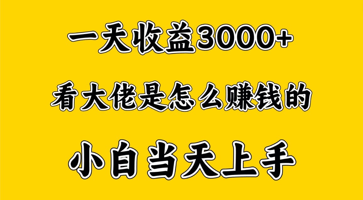 一天赚3000多，大佬是这样赚到钱的，小白当天上手，穷人翻身项目-英祺创业