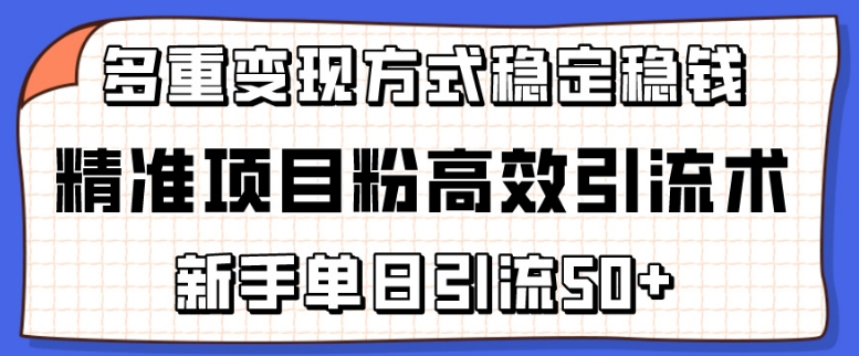精准项目粉高效引流术，新手单日引流50+，多重变现方式稳定赚钱-英祺创业