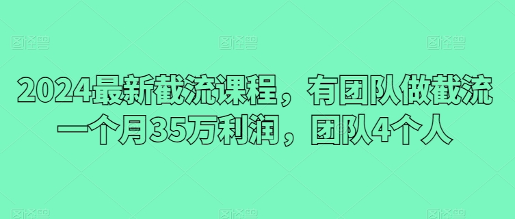 2024最新截流课程，有团队做截流一个月35万利润，团队4个人-英祺创业