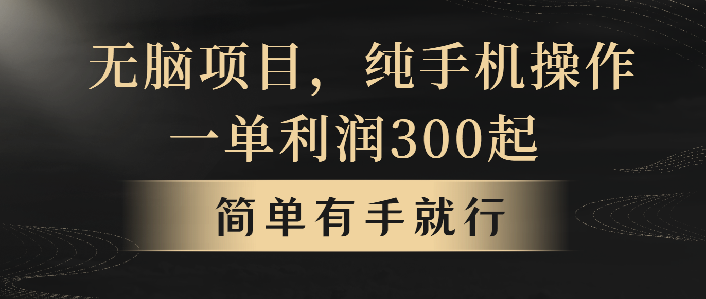 （10699期）无脑项目，一单几百块，轻松月入5w+，看完就能直接操作-英祺创业