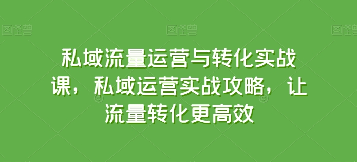 私域流量运营与转化实战课，私域运营实战攻略，让流量转化更高效-英祺创业