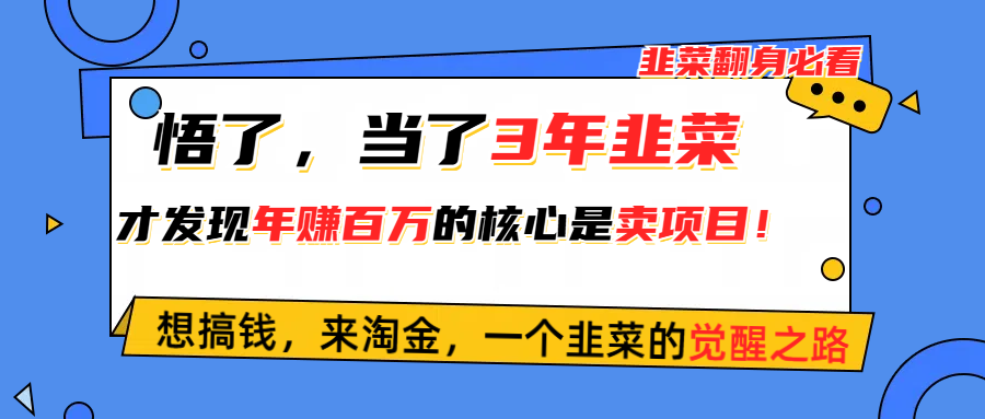 （10759期）悟了，当了3年韭菜，才发现网赚圈年赚100万的核心是卖项目，含泪分享！-英祺创业